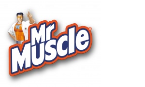 MR MUSCLE - SC JOHNSON