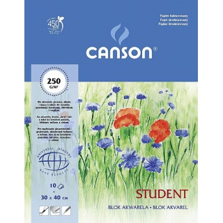 BLOK AKWARELA STUDENT 30x40 250g 10ark FAKTUROWANY, Bloki, Artykuły szkolne