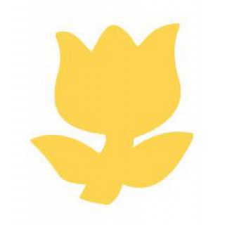 DZIURKACZ OZDOBNY 2,5cm TULIPAN, Dziurkacze, Artykuły dekoracyjne