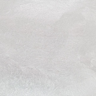 Karton ozdobny Perła biały 20 szt./op. 220g/m2, Papiery specjalne, Papier i etykiety