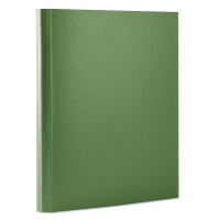 File velcro fastening PP A4/3. 5cm 3 flaps green