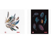 BRULION TW A5 96K KR FEATHERS, Zeszyty, Artykuły szkolne