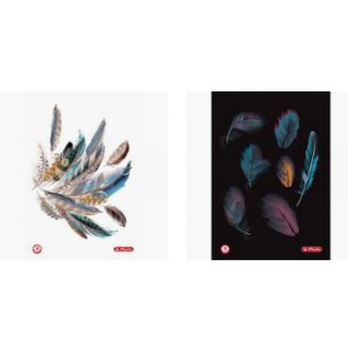 BRULION TW A5 96K KR FEATHERS, Zeszyty, Artykuły szkolne