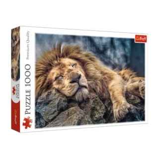 10447 1000 - Śpiący lew / 500px_L, 1000 element&oacute;w, Puzzle