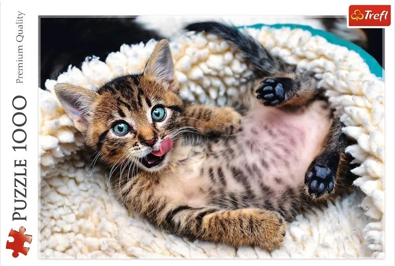 10448 1000 - Wesoły kotek / 500px_L, 1000 element&oacute;w, Puzzle