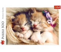 37271 500 - Spiące kotki / 500px_L, 500 element&oacute;w, Puzzle