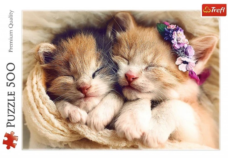 37271 500 - Spiące kotki / 500px_L, 500 element&oacute;w, Puzzle