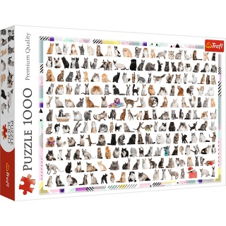 10498 1000 - 208 kot&oacute;w / Fotolia_L, 1000 element&oacute;w, Puzzle