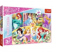 14294 24 Maxi - Magia wspomnień / Disney Princess, Maxi, Puzzle