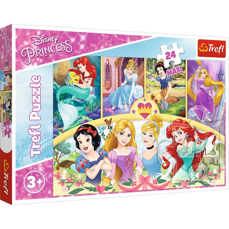 14294 24 Maxi - Magia wspomnień / Disney Princess, Maxi, Puzzle