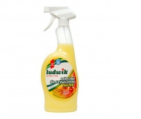 LUDWIK MLECZKO DO CZYSZCZENIA KUCHNI 750ML, Podkategoria, Kategoria