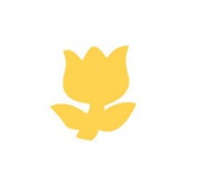 DZIURKACZ OZDOBNY 3,7cm TULIPAN, Podkategoria, Kategoria