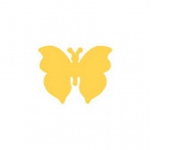 DZIURKACZ OZDOBNY 3,7cm MOTYL 4, Podkategoria, Kategoria