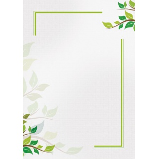 DYPLOM A4 170g GREEN 25szt.
