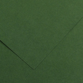 KARTON COLORLINE 50x65 150g 25ark C.ZIELEŃ, Podkategoria, Kategoria