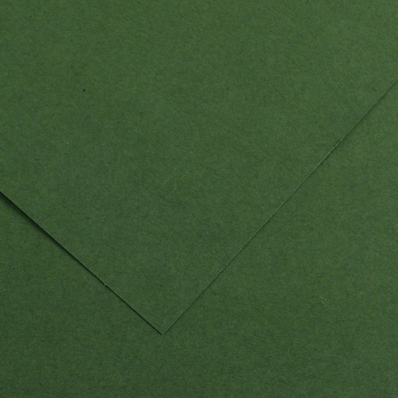 KARTON COLORLINE 50x65 150g 25ark C.ZIELEŃ, Podkategoria, Kategoria
