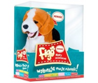 PIES REAGUJĄCY NA KOMENDY - BEAGLE, Podkategoria, Kategoria