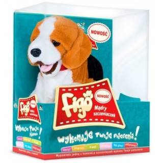 PIES REAGUJĄCY NA KOMENDY - BEAGLE, Podkategoria, Kategoria