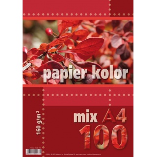 PAPIER KSERO MIX A4-100 KOLOR 160GR., Podkategoria, Kategoria