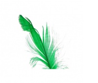Piórka w torebce foliowej 15 gram, zielona trawa, Produkty kreatywne, Artykuły dekoracyjne