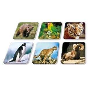 ZOO- ADAMIGO MEMORY, Domino i memos, Gry