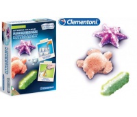 FLUORESCENCYJNE KRYSZTAŁY 5842, Podkategoria, Kategoria