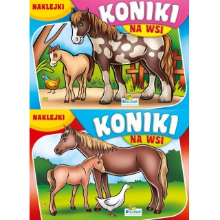 KSIĄŻECZKA KONIKI, Podkategoria, Kategoria