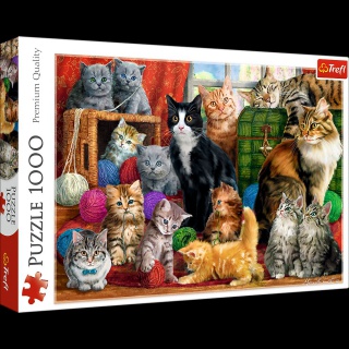 PUZZLE 1000-EL KOCIE SPOTKANIE, Podkategoria, Kategoria