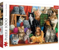 PUZZLE 1000-EL KOCIE SPOTKANIE, Podkategoria, Kategoria