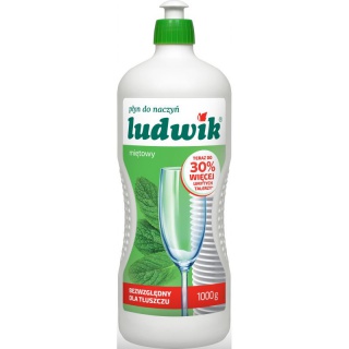 PŁYN DO NACZYŃ LUDWIK 1L MIĘTOWY, Podkategoria, Kategoria