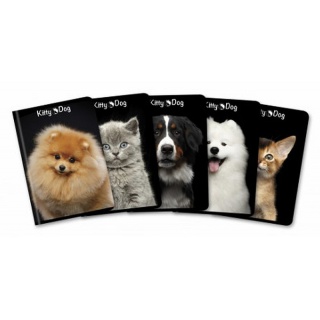 BRULION A5 96K.KR KITTY&DOG 1szt., Podkategoria, Kategoria