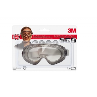 Safety Goggles 3M (2890), clear