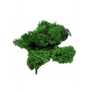 CHROBOTEK ZIELONY W PACZCE 20CM/13CM., Podkategoria, Kategoria