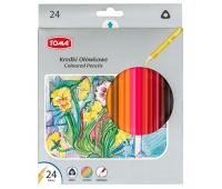 KREDKI OŁÓWKOWE 24KOL.TRÓJKĄTNE, Podkategoria, Kategoria