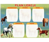 PLAN LEKCJI D /25/, Podkategoria, Kategoria