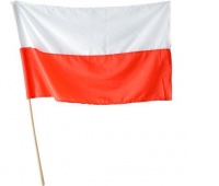 FLAGA NARODOWA NA DRZEWCU, Podkategoria, Kategoria