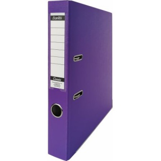 SEGREGATOR A4 50MM BUDGET CLASSIC FIOLETOWY, Podkategoria, Kategoria