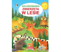 KOLOROWANKA ZWIERZĘTA W LESIE, Podkategoria, Kategoria