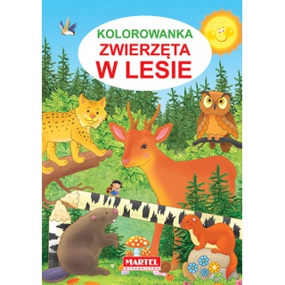 KOLOROWANKA ZWIERZĘTA W LESIE, Podkategoria, Kategoria