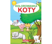 KOLOROWANKA KOTKI