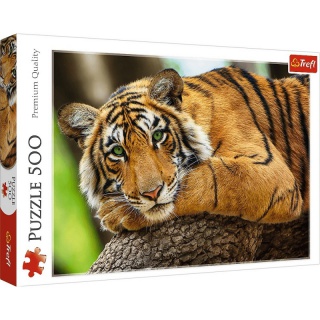 PUZZLE 500 - Portret tygrysa, Podkategoria, Kategoria