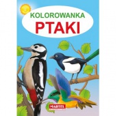 KOLOROWANKA PTAKI