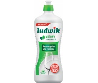 PŁYN DO NACZYŃ LUDWIK 900ML.MIĘTOWY, Podkategoria, Kategoria