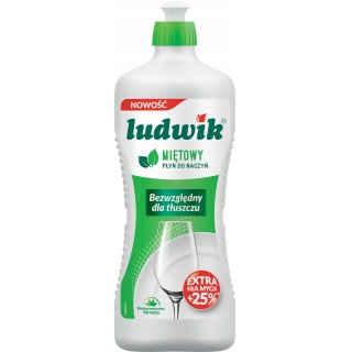 PŁYN DO NACZYŃ LUDWIK 900ML.MIĘTOWY, Podkategoria, Kategoria