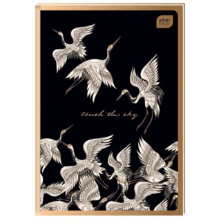 BRULION TW A5 96K.KRATKA METALLIC SATIN GOLD, Podkategoria, Kategoria