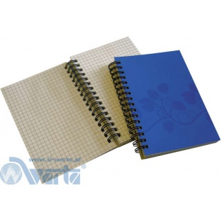 KOŁONOTES A6 100K.PION, Podkategoria, Kategoria
