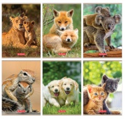 ZESZYT A5 16K.KR ANIMALS, Podkategoria, Kategoria