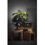 Fan MESKO, desk, dia. 23cm, 45W, black, Fans, Office equipment