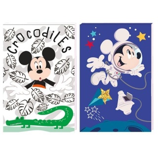 NOTES A7 30K.Z PODDRUKIEM MICKEY MOUSE, Podkategoria, Kategoria