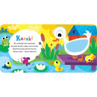 BAW SIĘ I DOTKNIJ NA WSI KSIĄŻECZKA SENSORYCZNA, Podkategoria, Kategoria